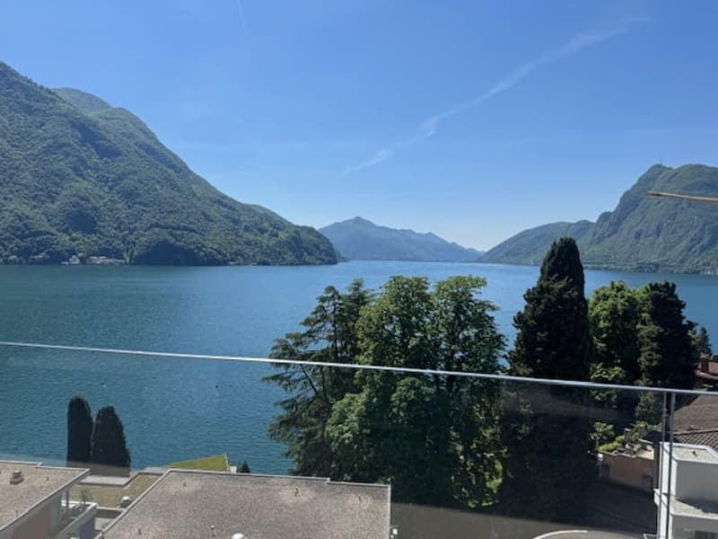 Castagnola, moderno e luminoso 4.5 locali con splendida vista lago (2)