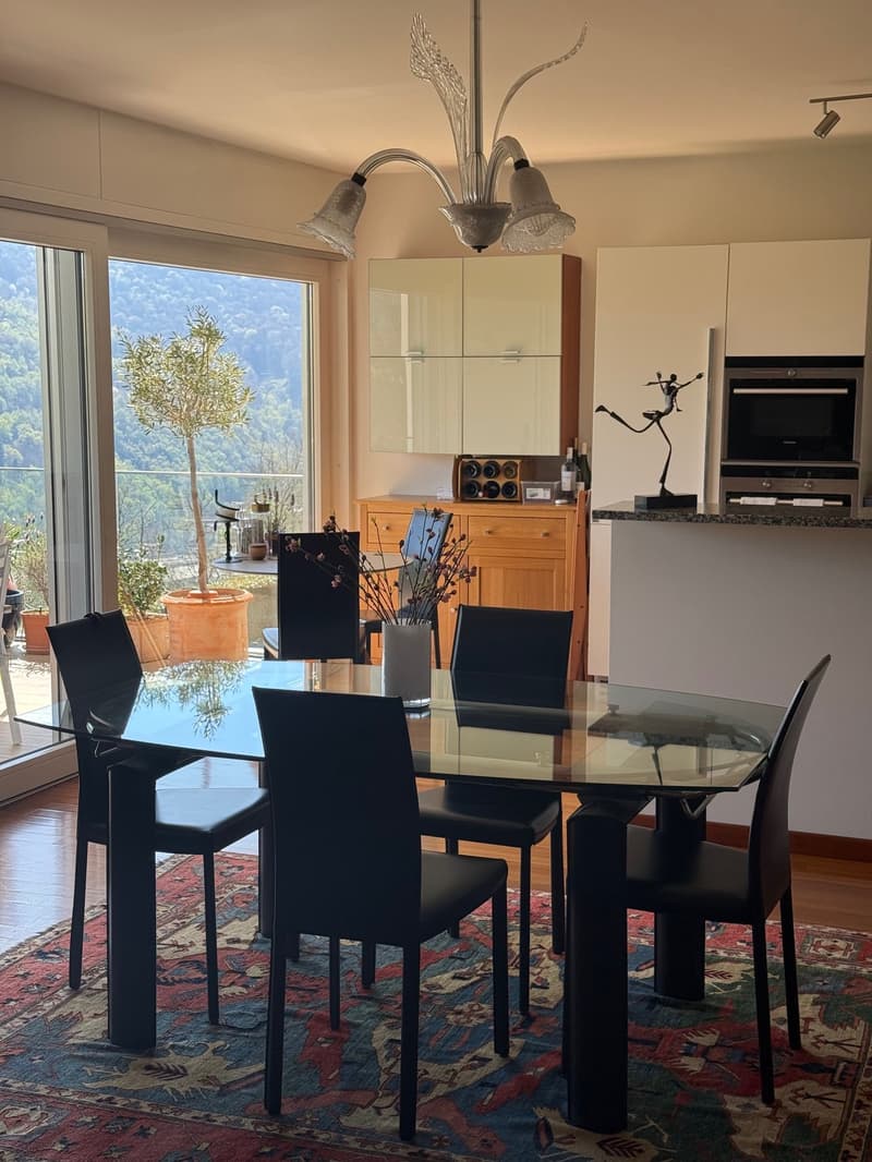 Montagnola, duplex con vista panoramica (4)