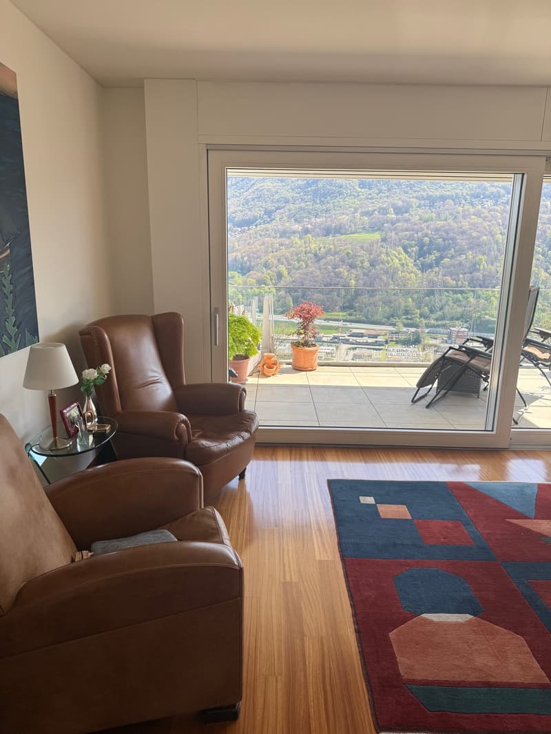Montagnola, duplex con vista panoramica (6)