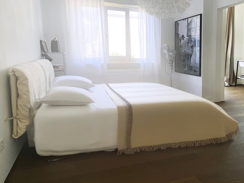 Centro Lugano con stile loft (3)