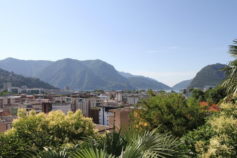 Centro Lugano con stile loft (1)