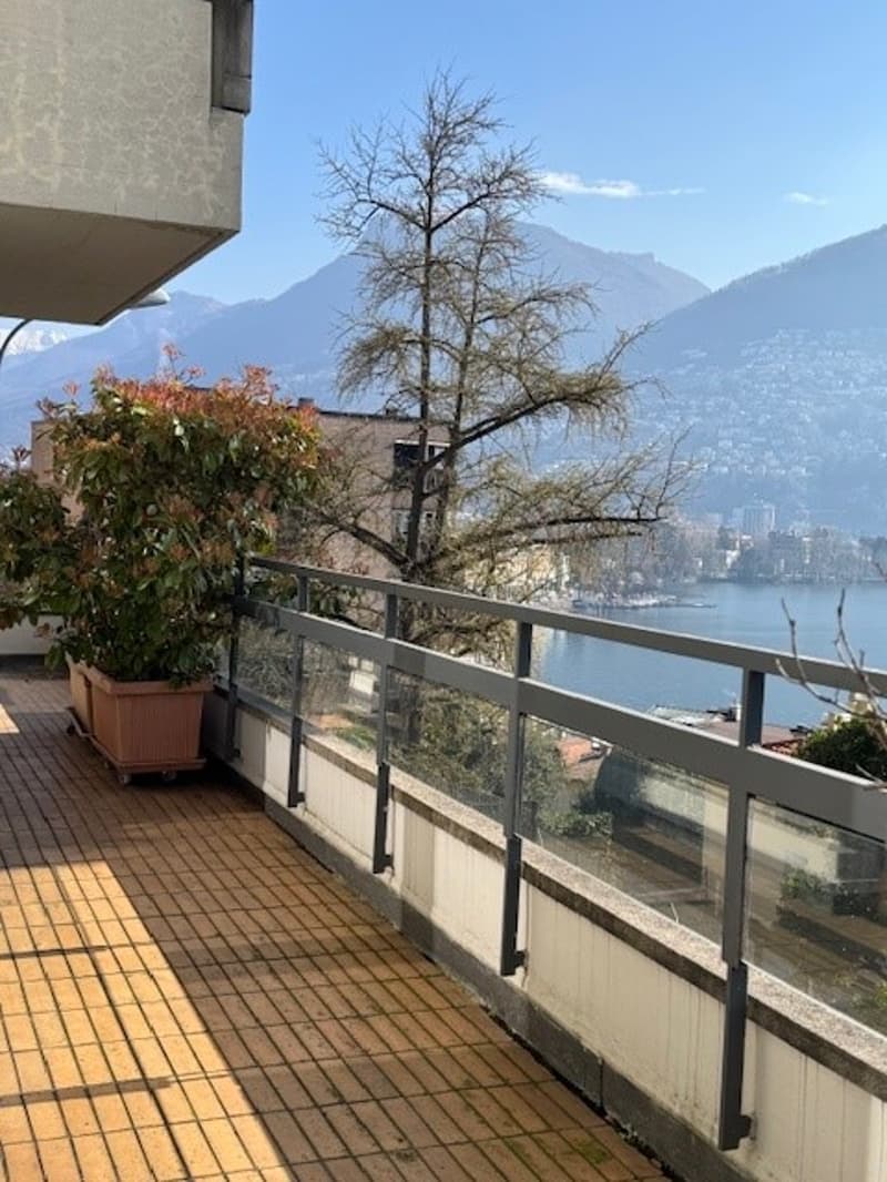 Vendo in centro 3.5 locali con vista lago (5)