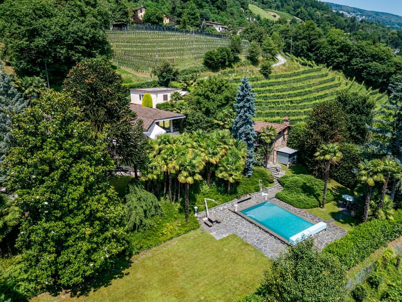 Splendida villa con piscina circondata da vigneti (2)