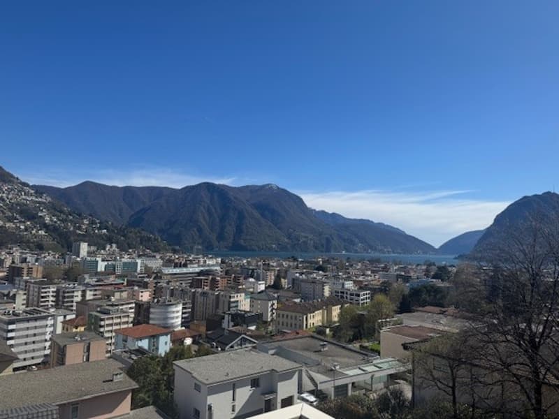 Grande appartamento su 4 liveli (1)