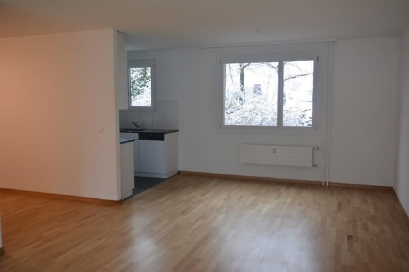 Renovierte 3-Zimmer Wohnung im Wittigkofen-Quartier (2)