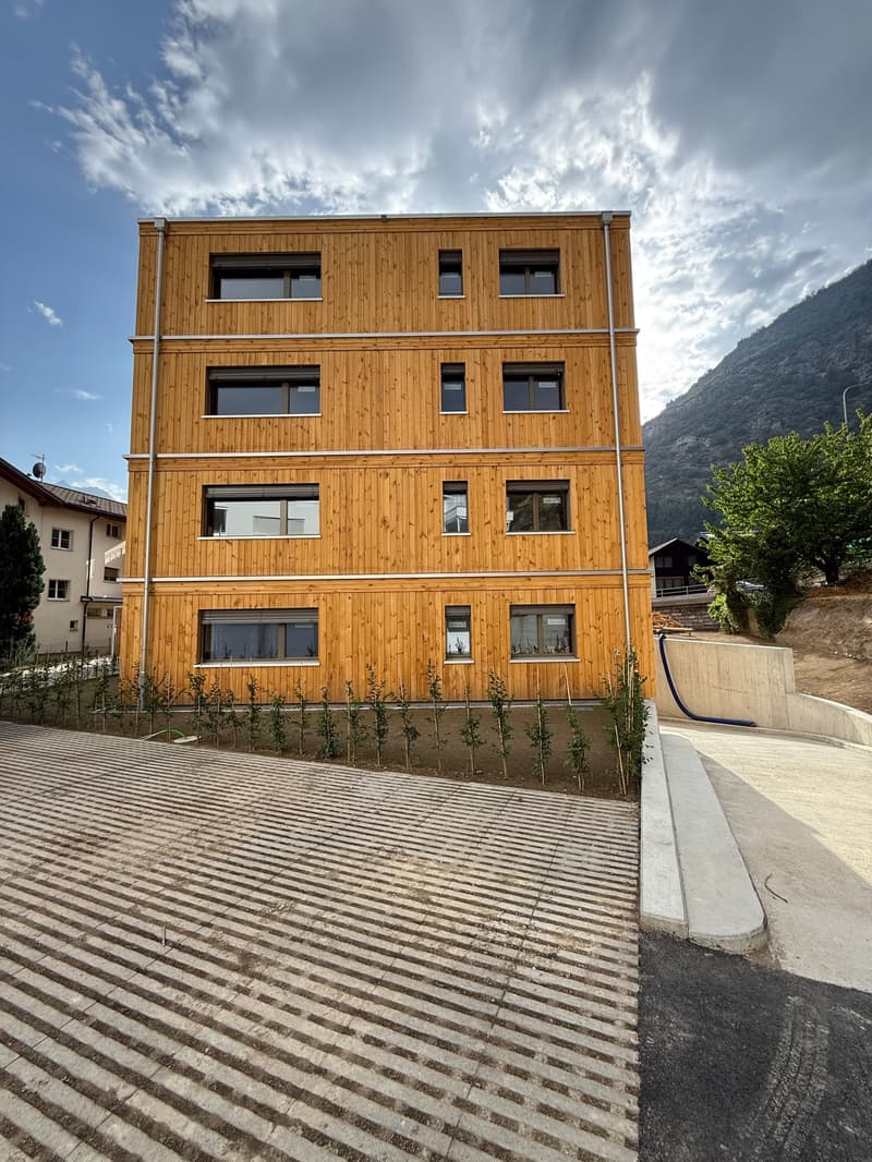 5 1/2 Zimmer Neubau Attikawohnung Besichtigung am 08. August 2026 zwischen 09.00 - 12.00 Uhr (4)
