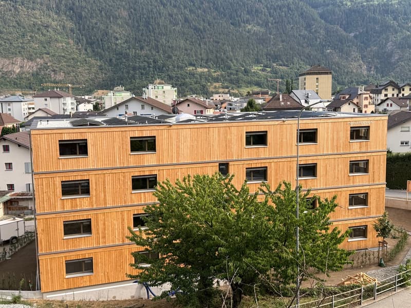 5 1/2 Zimmer Neubau Attikawohnung Besichtigung am 08. August 2026 zwischen 09.00 - 12.00 Uhr (3)