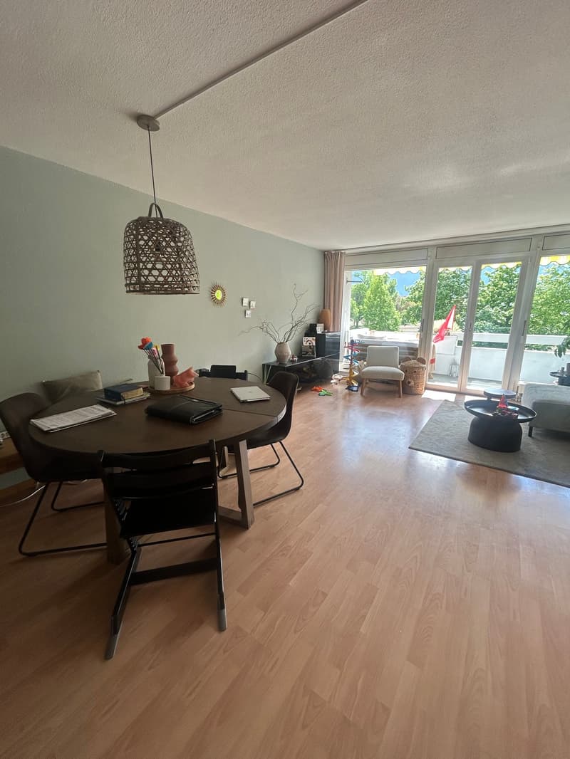 Helle 4.5-Zimmer-Wohnung in Thun (3)