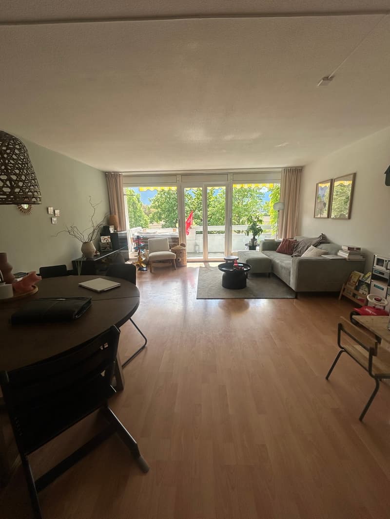 Helle 4.5-Zimmer-Wohnung in Thun (2)