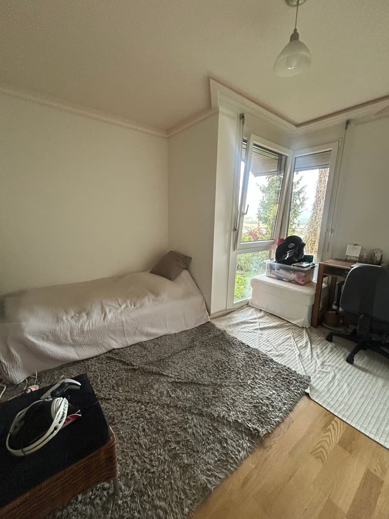 Charmante 4.5-Zimmer-Wohnung in Thun (11)