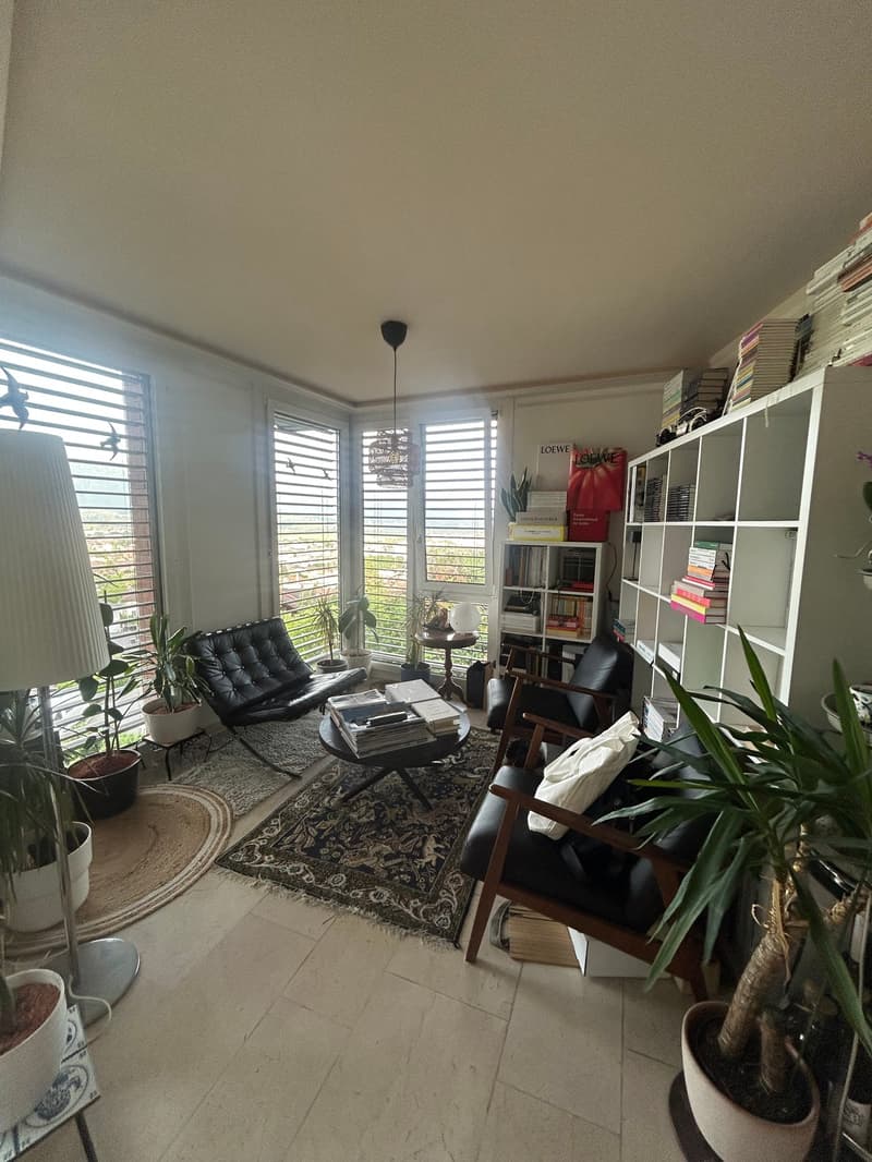 Charmante 4.5-Zimmer-Wohnung in Thun (9)