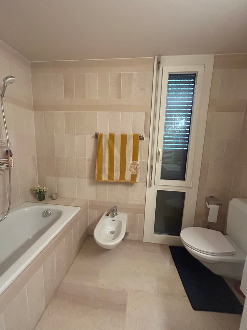 Charmante 4.5-Zimmer-Wohnung in Thun (15)