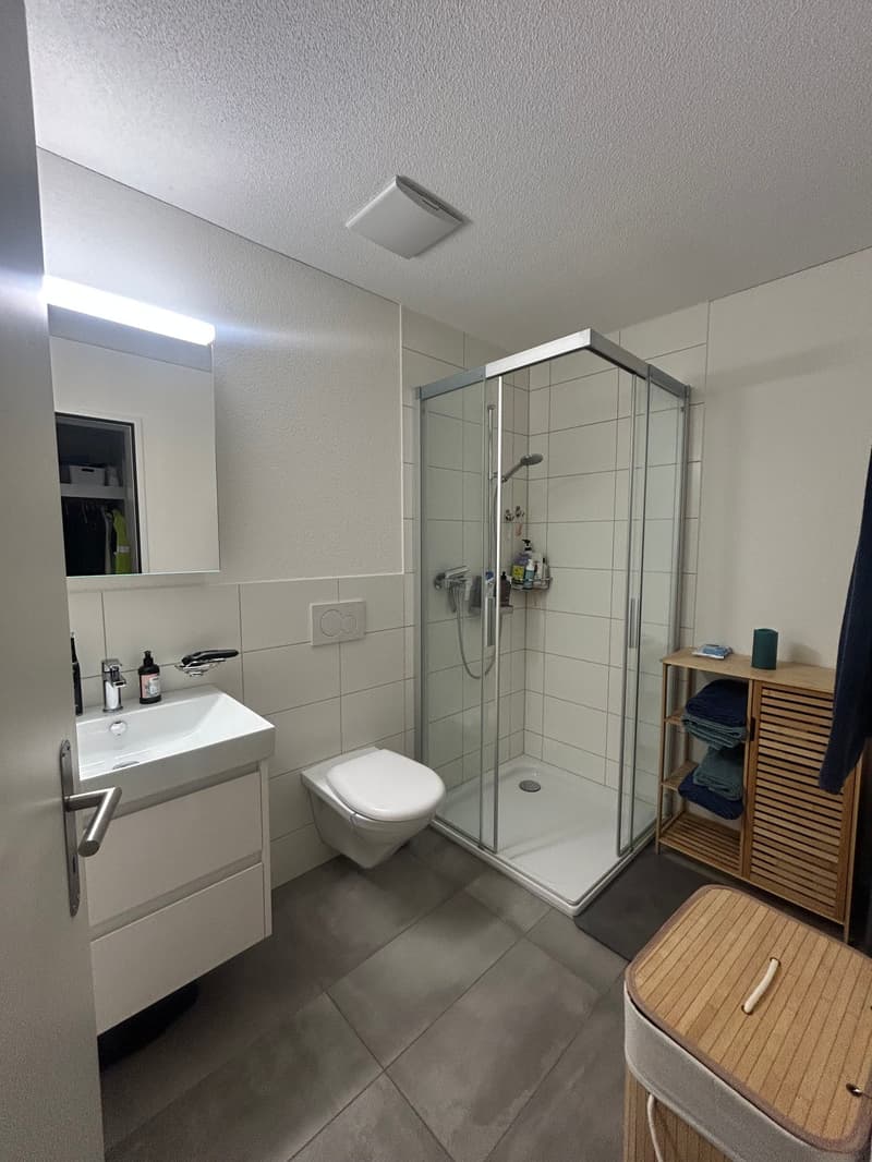 Moderne Wohnung an ruhiger Lage in Interlaken (8)