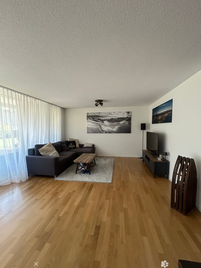 Moderne Wohnung an ruhiger Lage in Interlaken (2)