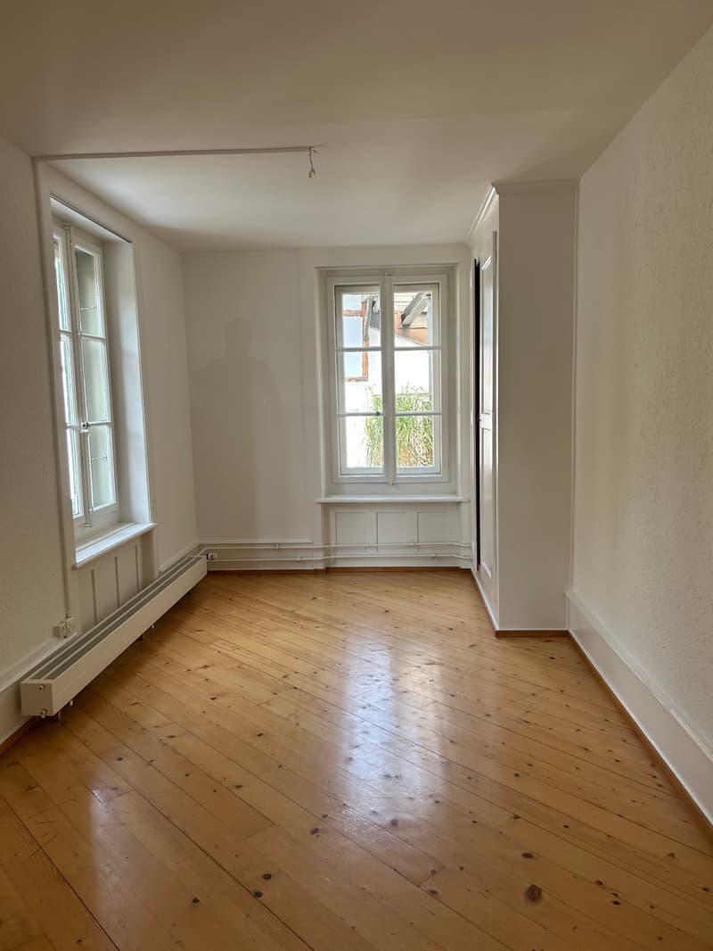 Grosszügige 5.5-Zimmerwohnung an attraktiver Lage (7)