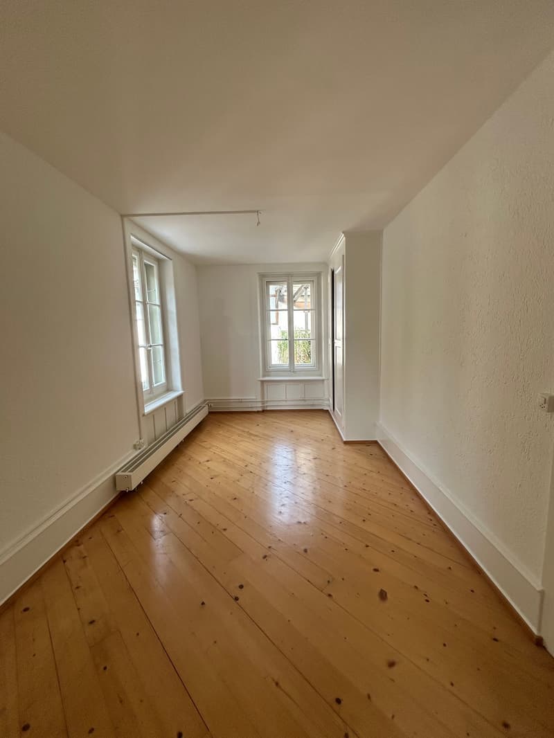 Grosszügige 5.5-Zimmerwohnung an attraktiver Lage (6)