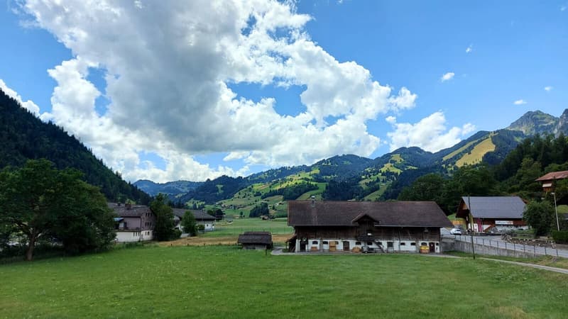 Charmante 4.5-Zimmer-Wohnung in idyllischer Berglage – Boltigen (1)