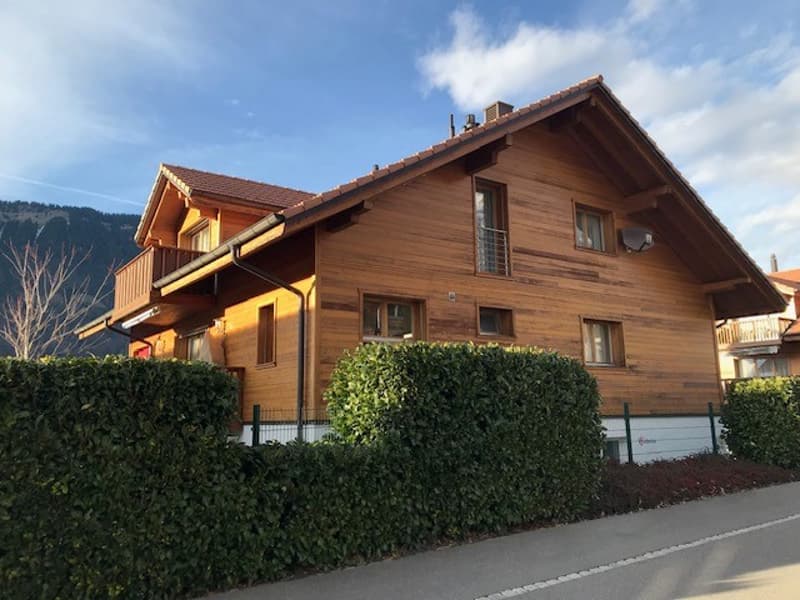 Charmante Wohnung an wunderschöner Lage am Brienzersee (3)