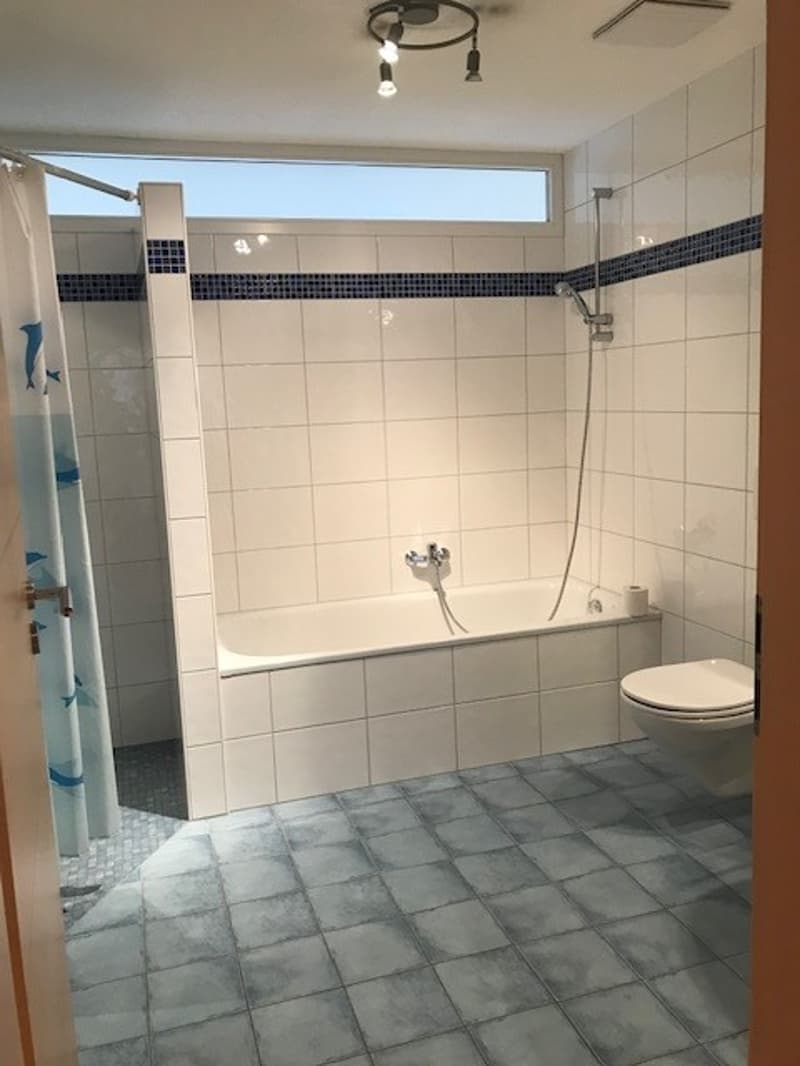 Charmante Wohnung an wunderschöner Lage am Brienzersee (10)
