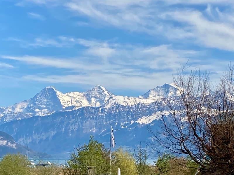 Ein zu Hause am Thunersee – 4 ½ Zimmerwohnung mit See- und Bergblick (5)