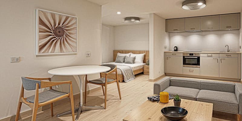Opportunité : Chalet neuf et 1 Studio (6)