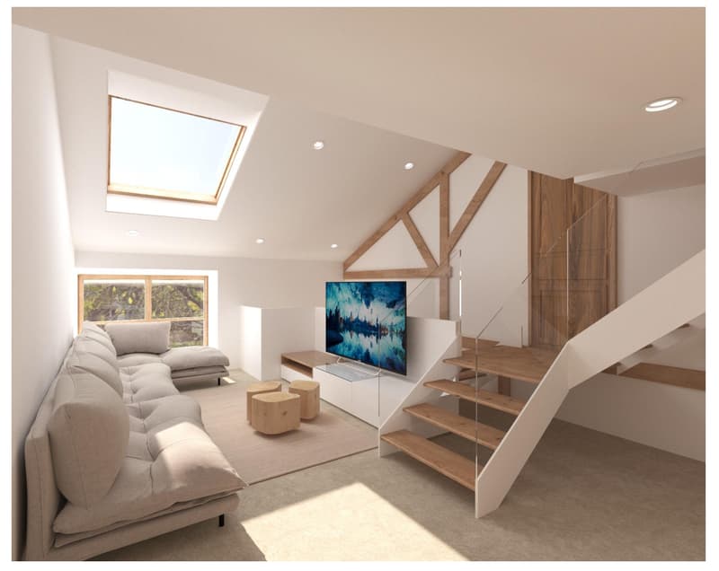 À vendre ? Grange à rénover avec fort potentiel à 15 minutes de Genève (2)