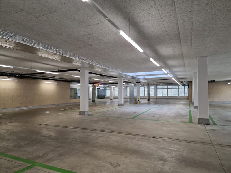 large open space, concrete floor, green markings, white columns, multiple lights