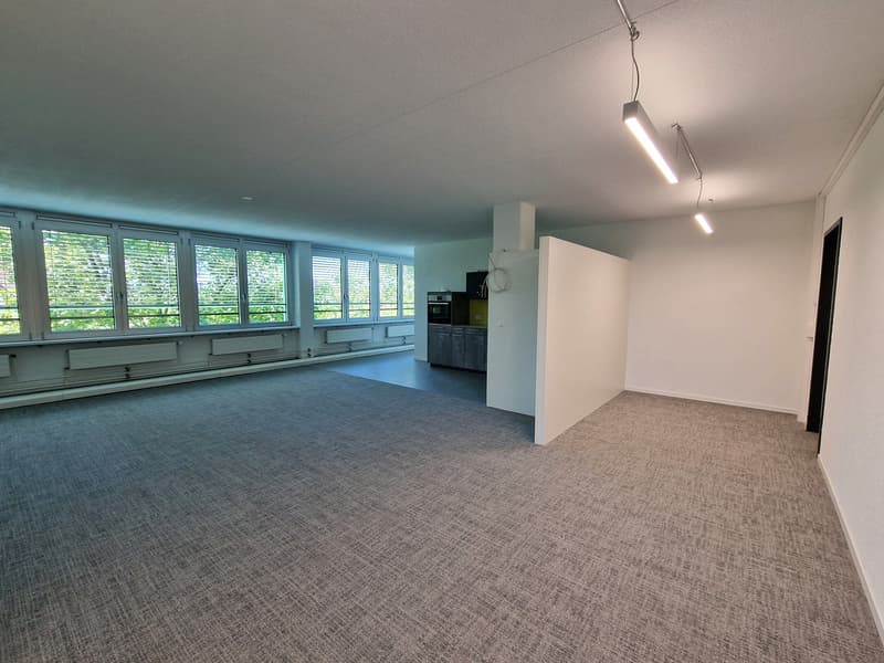 Large room with gray carpet and white walls, windows with blinds, kitchen with appliances.