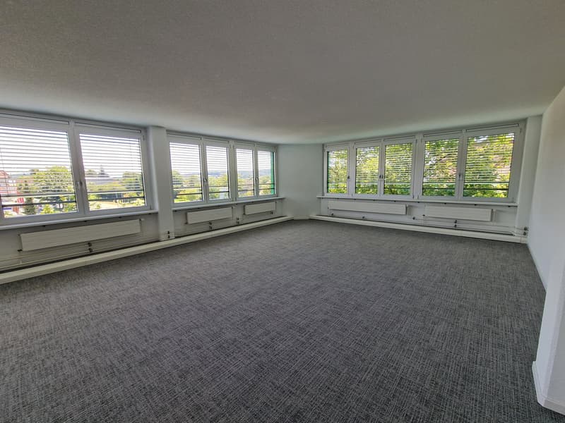 Empty room with large windows, white walls, gray carpet, balcony