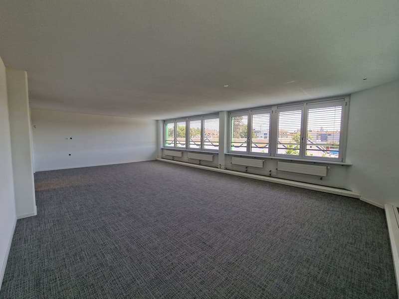 large empty room, gray carpet, white walls, windows with blinds, radiators, door on the left