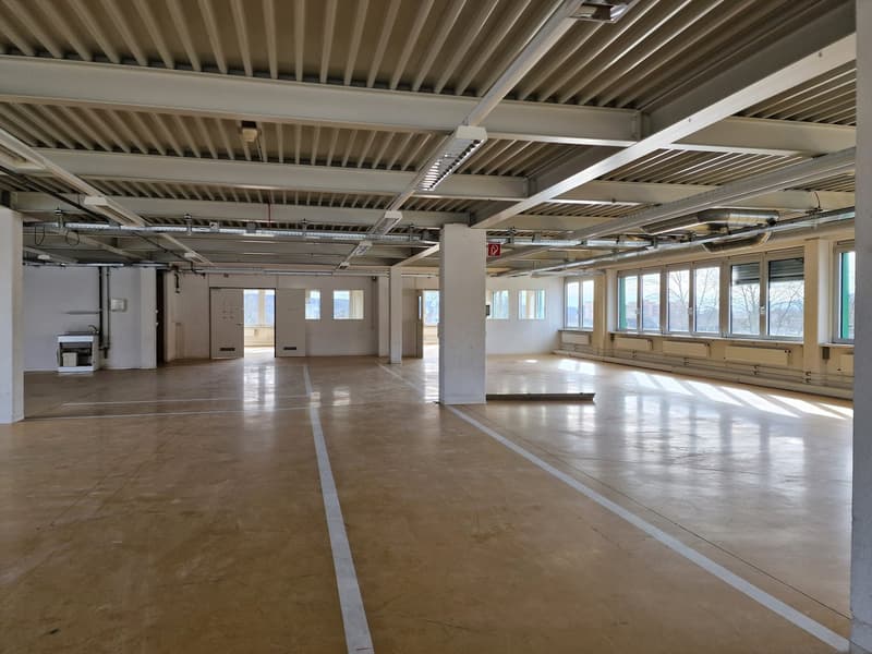 Empty large room, white painted walls, concrete floor, metal beams, fluorescent lighting, doors, and windows.