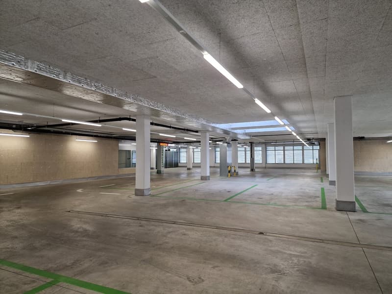 large open space, concrete floor, green markings, white columns, multiple lights