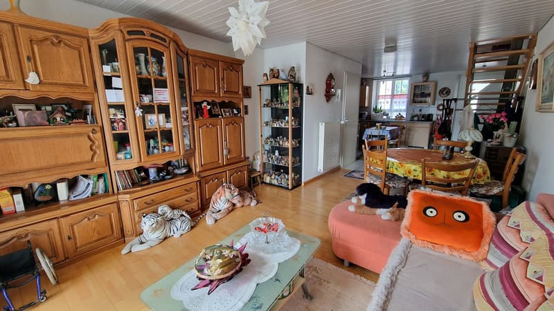 Wooden cabinets, dining table with chairs, sofa, coffee table, wooden floor, toys, plants, picture frames, lamp