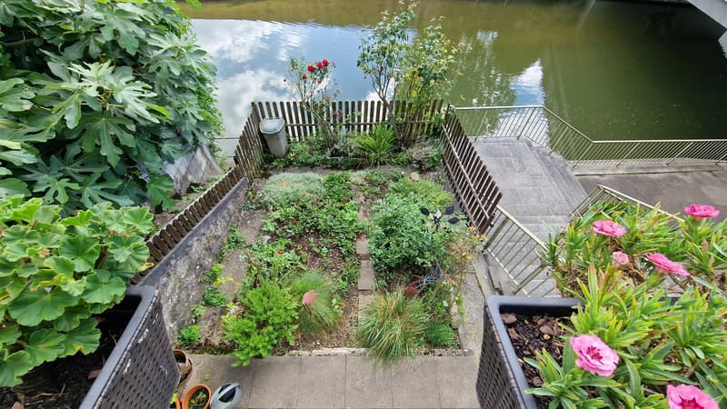 greenery, plants, garden area, wooden fence, steps, staircase, trash bin, water body, pink flowers, metal handrails, metal fencing, concrete floor