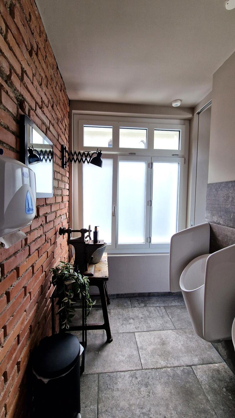 brick wall, mirror, toilet, sink, trash can, plants