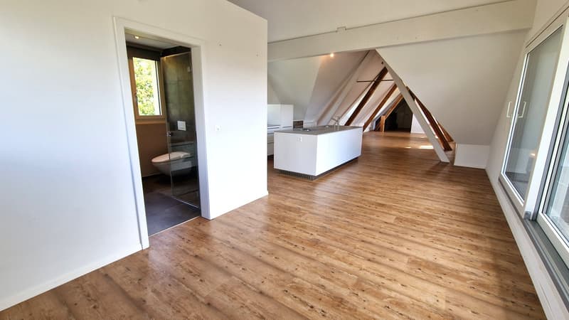empty room, wooden floor, white walls, open bathroom with shower and toilet, kitchen island, glass windows, attic