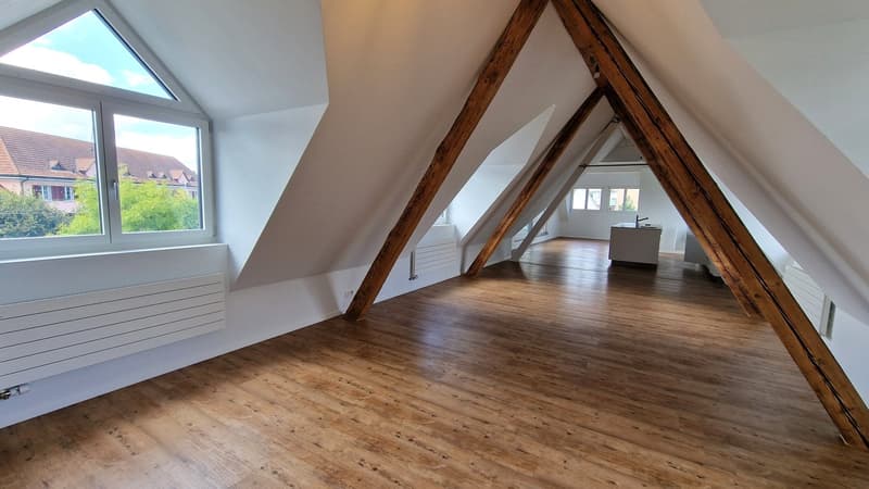 wooden beams, wooden floors, skylight, white walls, views of the outside