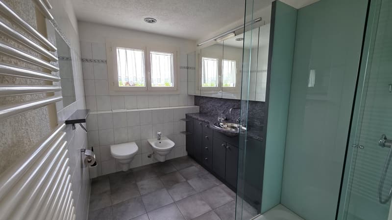 Die Lösung für Familien - 5.5-Zimmer-Einfamilienhaus mit Garten und viel Platz (12)