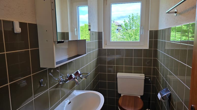 Die Lösung für Familien - 5.5-Zimmer-Einfamilienhaus mit Garten und viel Platz (19)