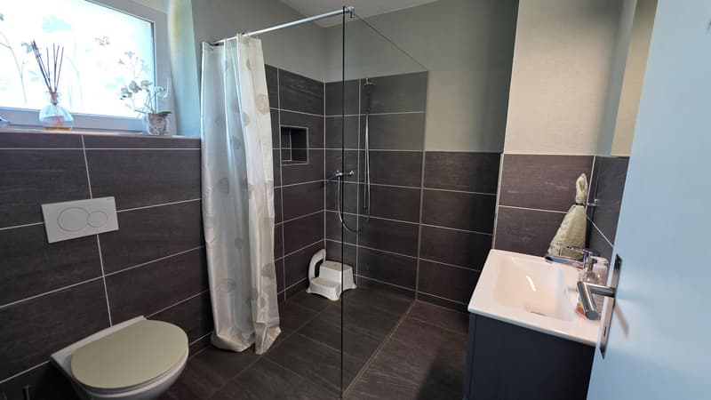 Modernes Einfamilienhaus mit Pool (8)