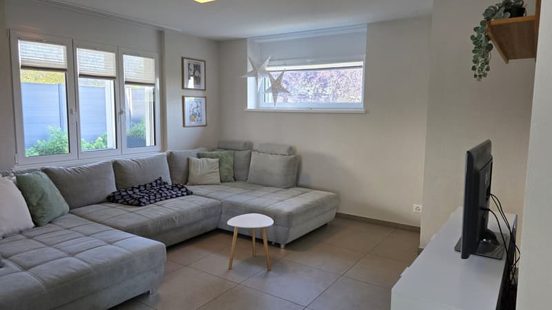 Modernes Einfamilienhaus mit Pool (6)