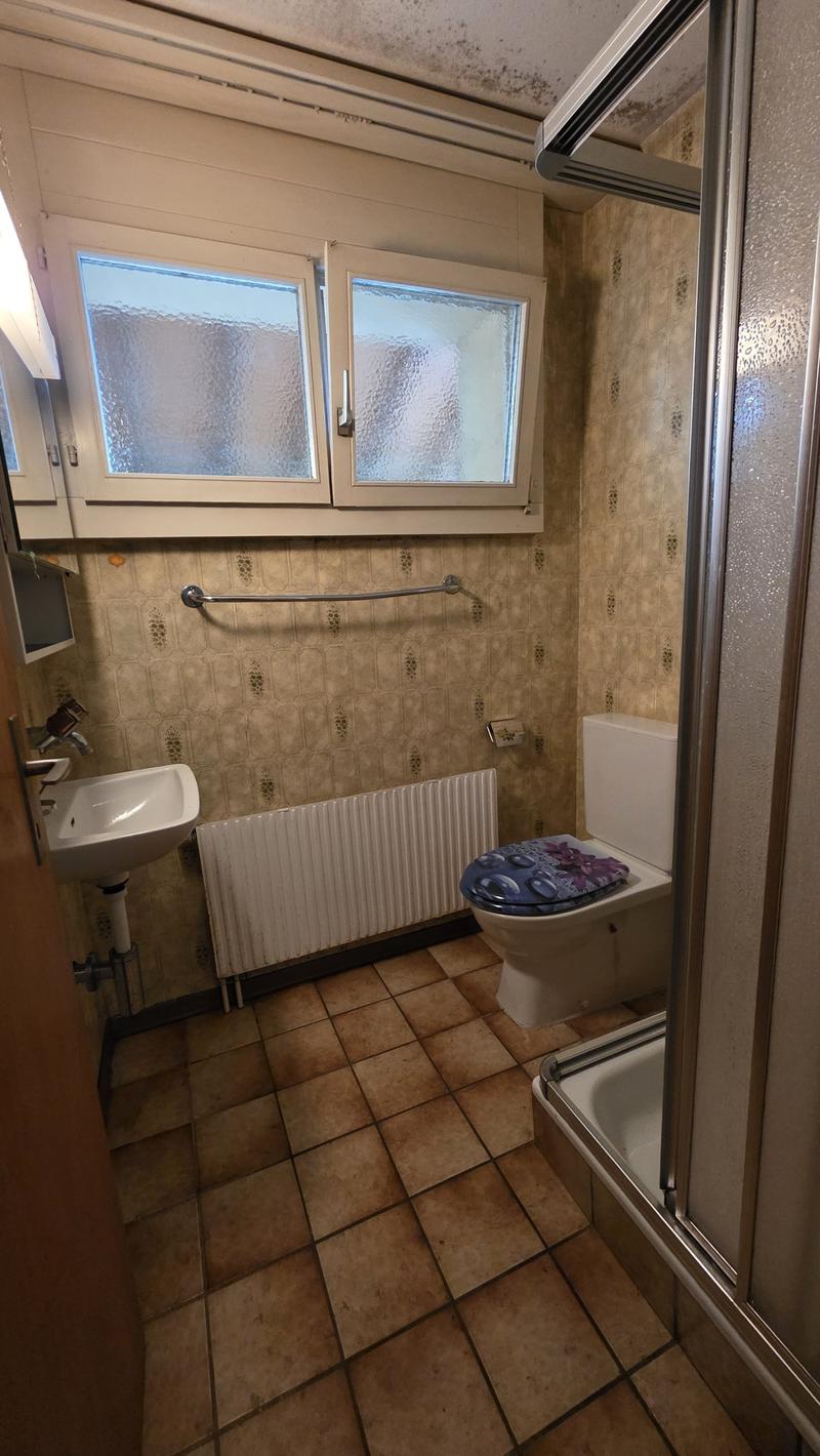 Charmantes Einfamilienhaus mit eigenem Wald (7)