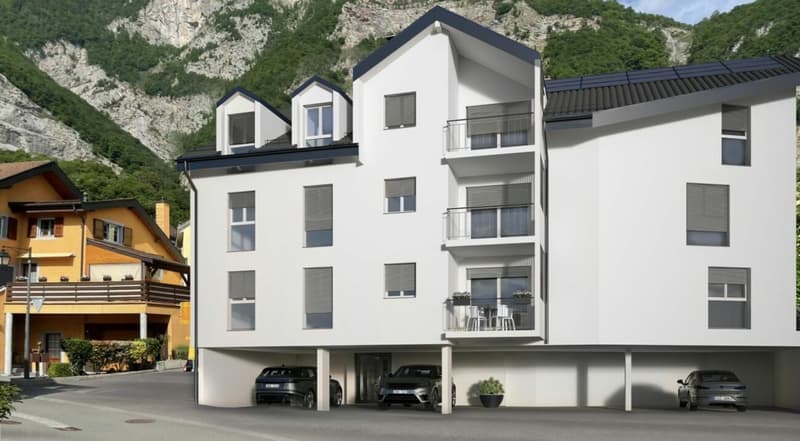 Libre de suite : tout neuf  jardin et Dents du Midi ! (17)