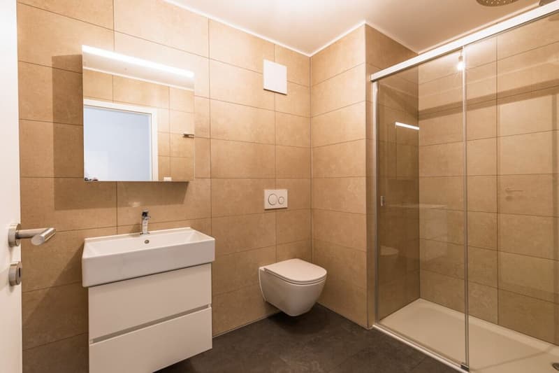 Libre de suite : tout neuf jardin et Dents du Midi ! (10)