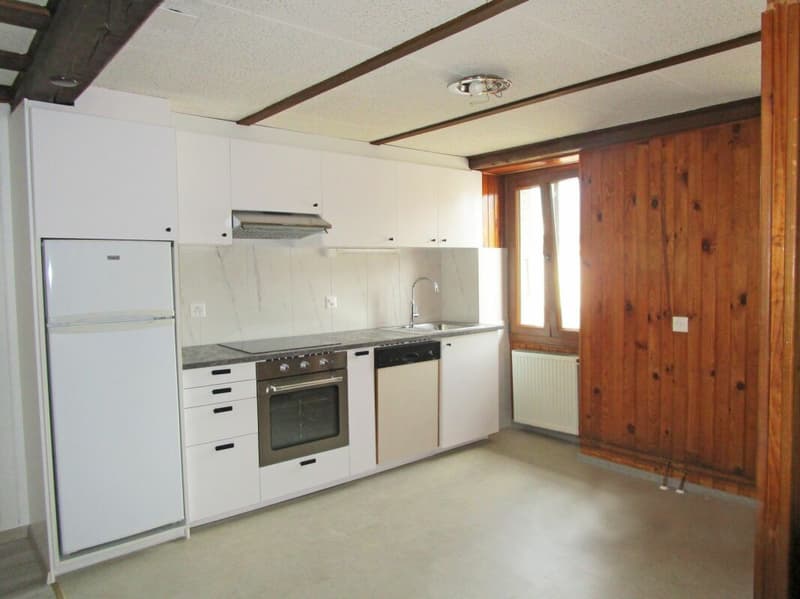 Appartement 2,5p en duplex avec terrasse XXL (6)