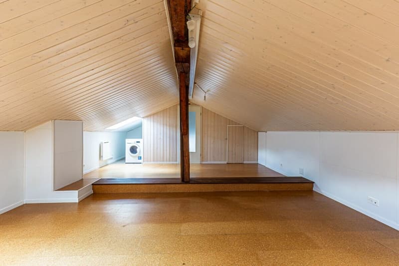 Appartement 3p + combles dans une maison individuelle... (20)