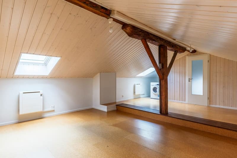 Appartement 3p + combles dans une maison individuelle... (18)