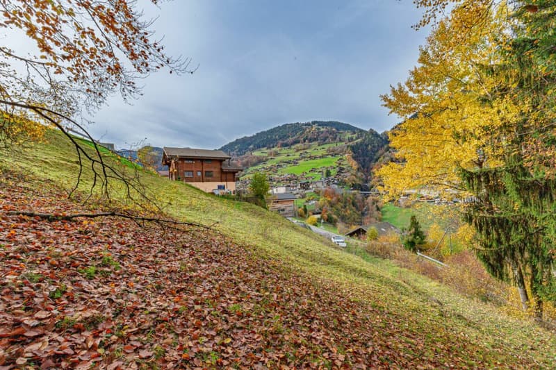 Parcelle constructible avec vue imprenable ! (8)