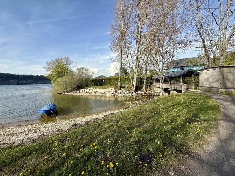 Le privilège d'une première ligne face au lac (19)