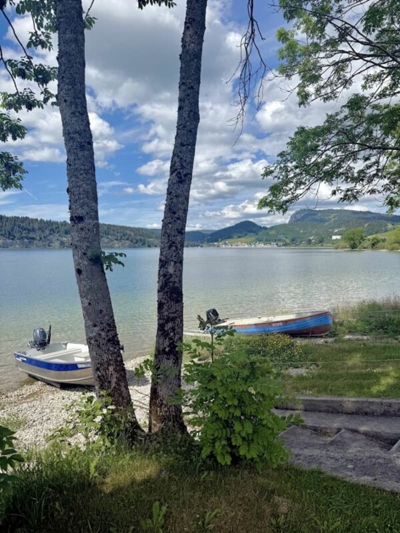 Le privilège d'une première ligne face au lac (20)
